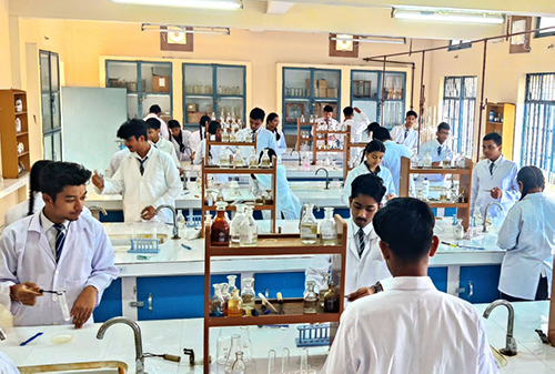 lab